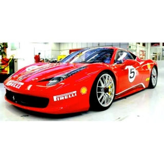 Радиоуправляемая машина Ferrari 458 Challenge 1:18