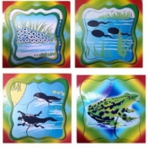 Пазл Познаем мир 